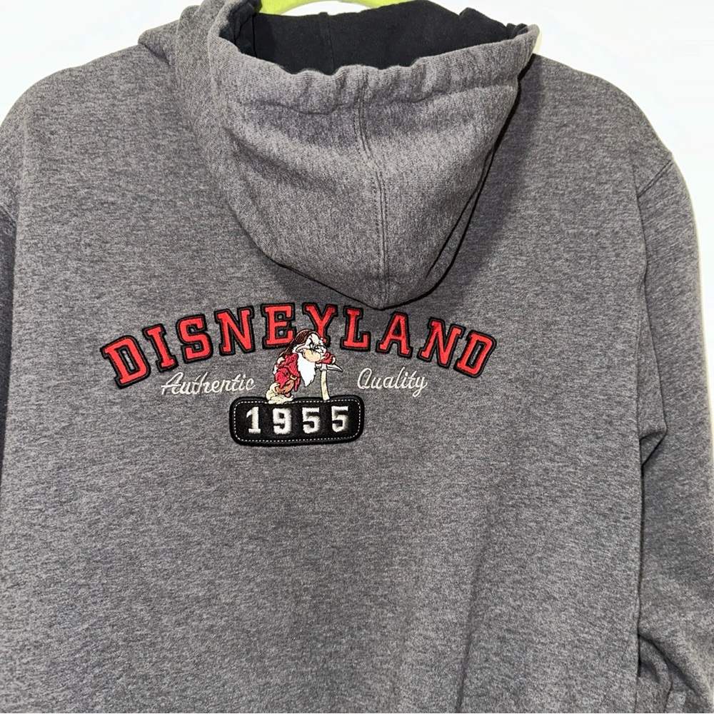 Vintage Disneyland hoody